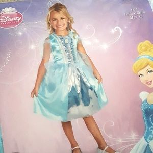 Disney Princess / Halloween costume/ Cinderella